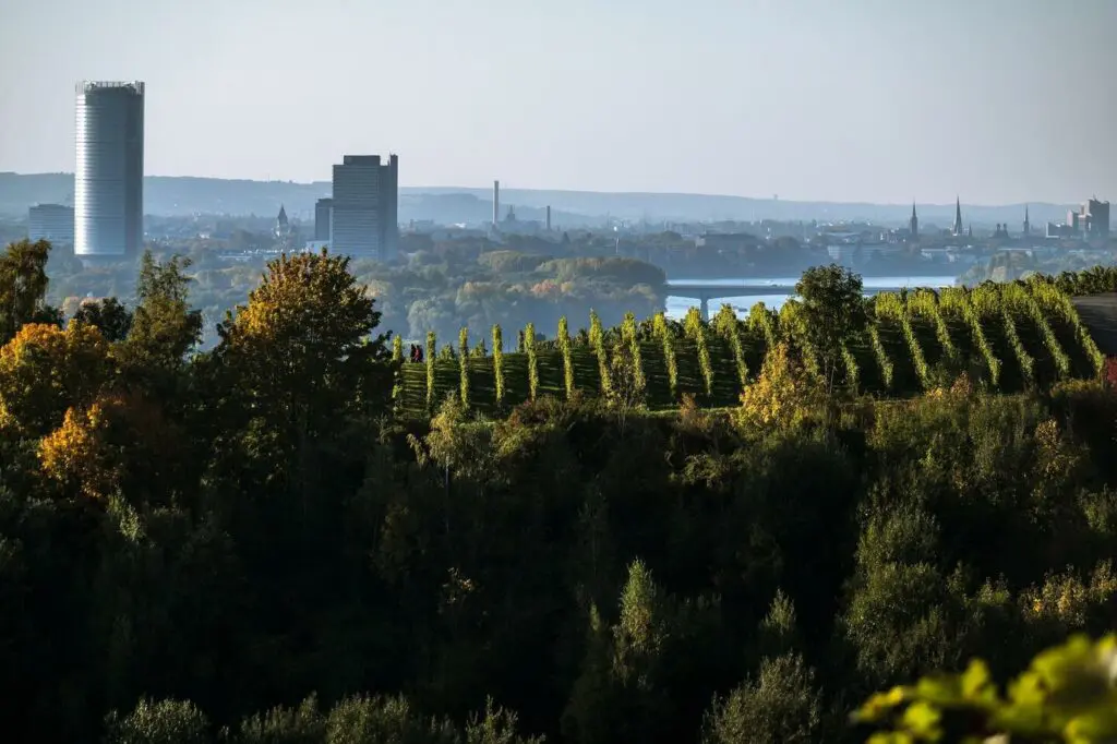 Sicherheitsdienst Bonn